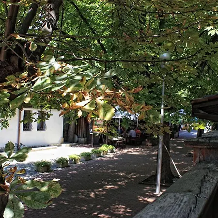 The Blue Jasmine House Varna